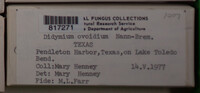 Image Associated With the Occurence